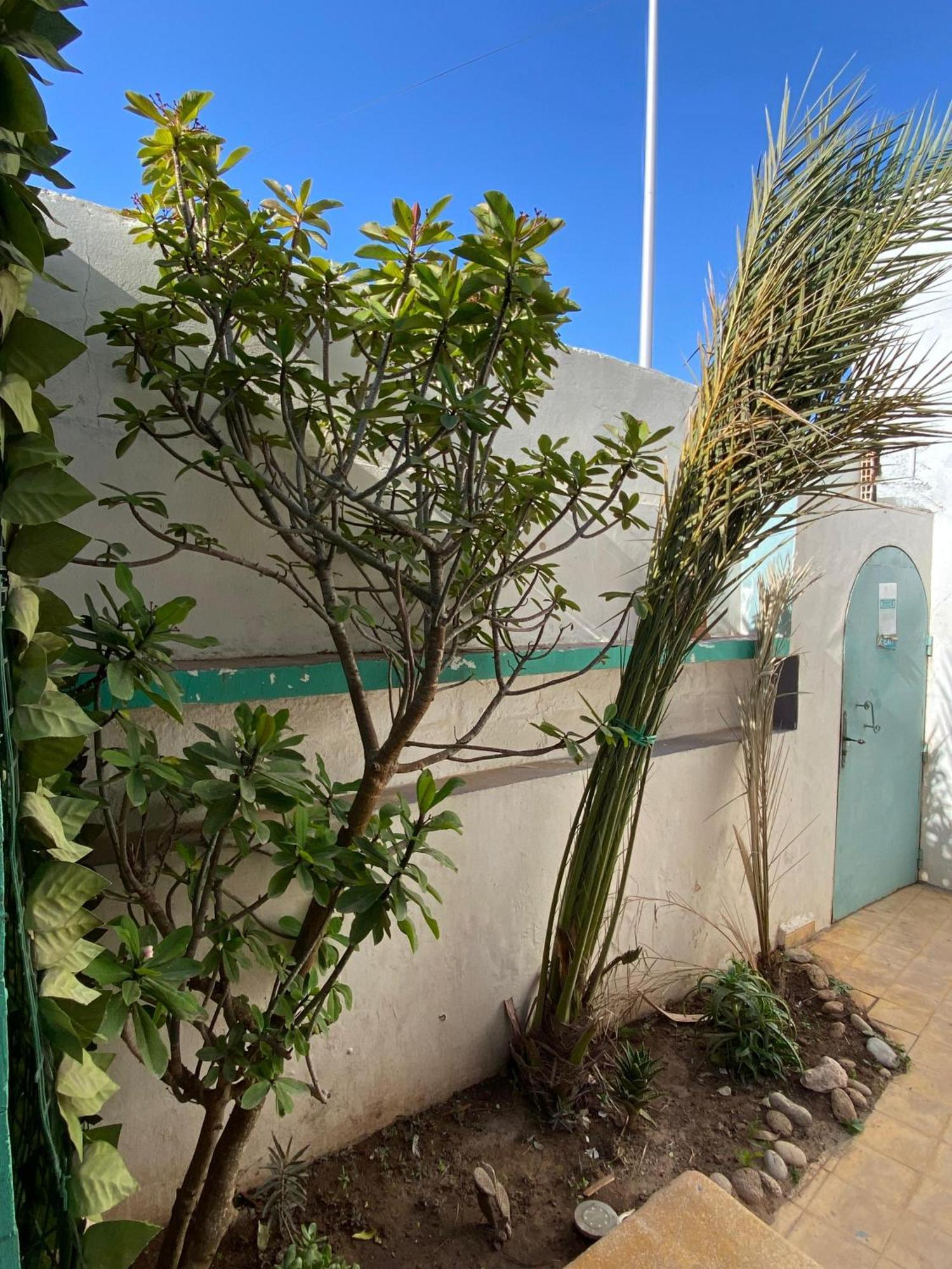 Yousurf Surf House Essaouira Exterior photo